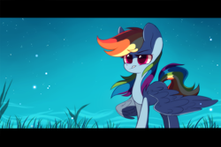 Size: 2449x1632 | Tagged: safe, artist:mirtash, imported from derpibooru, rainbow dash, pegasus, pony, black bars, female, grass, mare, night, rcf community, sky, solo, standing, stars