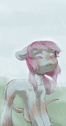 Size: 1004x1920 | Tagged: safe, artist:aphphphphp, imported from derpibooru, oc, oc only, cat tail, eyes closed, rain, solo, unshorn fetlocks, wet, wet mane