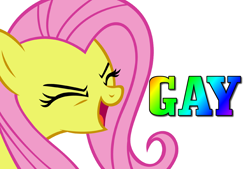 Size: 1016x686 | Tagged: safe, imported from derpibooru, fluttershy, pegasus, pony, eyes closed, female, flutteryay, gay, male, mare, meme, yay