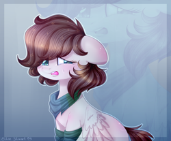 Size: 2484x2061 | Tagged: safe, artist:pony-ellie-stuart, imported from derpibooru, oc, oc only, pegasus, pony, bandana, clothes, crying, female, mare, socks, solo, zoom layer