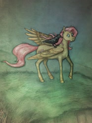 Size: 1774x2387 | Tagged: safe, artist:sofia-the-dreamer, imported from derpibooru, fluttershy, bird, crow, female, grass, looking away, raised hoof, solo, standing, traditional art