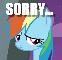 Size: 494x474 | Tagged: safe, edit, edited screencap, imported from derpibooru, screencap, rainbow dash, frown, image macro, meme, sad, sorry