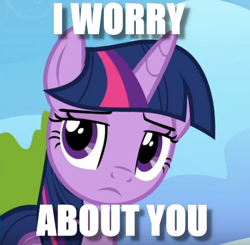 Size: 508x498 | Tagged: safe, edit, edited screencap, imported from derpibooru, screencap, twilight sparkle, alicorn, pony, female, frown, image macro, meme, solo, twilight sparkle (alicorn), worried