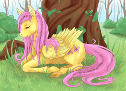 Size: 1000x720 | Tagged: safe, artist:seadragon06, imported from derpibooru, fluttershy, braid, eyes closed, female, folded wings, forest, peaceful, profile, prone, solo, tree, under the tree