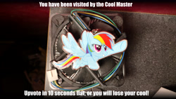 Size: 5344x3006 | Tagged: safe, imported from derpibooru, rainbow dash, absurd resolution, irl, meme, photo, upvote bait