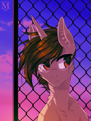 Size: 757x1000 | Tagged: safe, artist:margony, imported from derpibooru, oc, oc only, pony, unicorn, brown hair, cloud, commission, fence, male, sky, solo, stallion