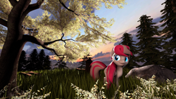 Size: 1920x1080 | Tagged: safe, artist:seagale, imported from derpibooru, angel wings, pony, 3d, cloud, female, field, solo, sunset, tree