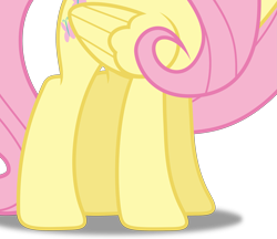 Size: 2989x2584 | Tagged: dead source, safe, artist:teentitansfan201, edit, imported from derpibooru, vector edit, fluttershy, pony, cropped, female, hooves, legs, pictures of legs, simple background, solo, transparent background, vector