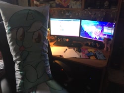 Size: 3264x2448 | Tagged: safe, artist:silly-filly1337, imported from derpibooru, lyra heartstrings, body pillow, computer, google chrome, irl, microsoft windows, photo, windows, windows 8.1