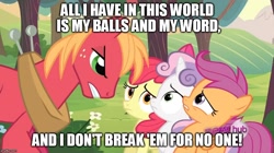 Size: 888x499 | Tagged: safe, edit, edited screencap, imported from derpibooru, screencap, apple bloom, big macintosh, scootaloo, sweetie belle, earth pony, pony, ponyville confidential, caption, cutie mark crusaders, male, scarface, stallion