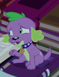 Size: 721x932 | Tagged: safe, imported from derpibooru, screencap, spike, dog, equestria girls, equestria girls (movie), book, male, sitting, solo, spike the dog