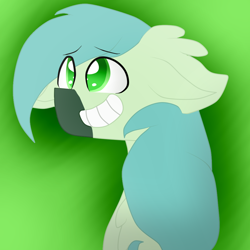 Size: 1024x1024 | Tagged: safe, artist:cottonponysfm, artist:tiz4905, artist:tizhonolulu, imported from derpibooru, oc, oc only, oc:flame brave, bust, fluffy, green, looking up, portrait, simple background, smiling, solo, worried