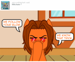Size: 540x450 | Tagged: safe, artist:aha-mccoy, imported from derpibooru, oc, oc only, oc:aha mclovin, pegasus, pony, nopony-ask-mclovin, animated, ask, dialogue, gif, glasses, i'm watching you, male, solo, speech bubble, stallion, suddenly hands, tumblr