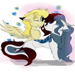 Size: 2560x2560 | Tagged: safe, artist:brokensilence, imported from derpibooru, oc, oc only, oc:mira songheart, oc:noctis, draconequus, pony, :p, chest fluff, cute, draconequified, ear fluff, floppy ears, fluffy, heart, horns, looking at each other, mirabetes, noctira, oc x oc, one eye closed, shipping, shipping fuel, simple background, smiling, species swap, spread wings, tongue out, white background