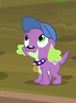 Size: 154x210 | Tagged: safe, imported from derpibooru, screencap, spike, spike the regular dog, dog, equestria girls, legend of everfree, looking up, male, smiling, solo