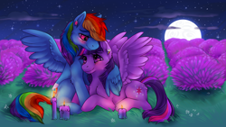 Size: 1920x1080 | Tagged: safe, artist:anonymous, derpibooru exclusive, imported from derpibooru, rainbow dash, twilight sparkle, alicorn, pony, blushing, candle, cutie mark, cutie mark earrings, ear piercing, earring, female, field, hug, jewelry, lesbian, looking at each other, moon, night, piercing, shipping, spread wings, twidash, twilight sparkle (alicorn), wallpaper, wingboner, winghug