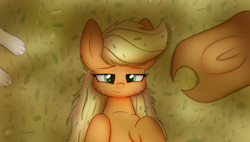 Size: 3000x1700 | Tagged: safe, artist:heir-of-rick, imported from derpibooru, applejack, winona, dog, earth pony, pony, daily apple pony, cowboy hat, cute, female, freckles, hat, hay, lidded eyes, looking at you, lying down, mare, on back, resting, smiling, solo, stetson