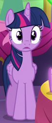 Size: 360x840 | Tagged: safe, imported from derpibooru, screencap, spike, twilight sparkle, alicorn, dragon, pony, gauntlet of fire, cropped, solo focus, stare, twilight sparkle (alicorn)