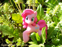 Size: 900x675 | Tagged: safe, artist:the-nunnally, imported from derpibooru, pinkie pie, pony, irl, photo, plant, solo, toy