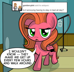 Size: 823x800 | Tagged: safe, artist:wadusher0, imported from derpibooru, oc, oc only, oc:pun, earth pony, pony, comic:hospital hijinks, comic, female, iv drip, mare, solo