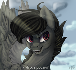 Size: 1495x1367 | Tagged: safe, artist:ognevitsa, imported from derpibooru, oc, oc only, pegasus, pony, male, russian, scar, solo, stallion, translated in the comments