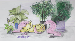 Size: 4987x2731 | Tagged: safe, artist:ami-gami, artist:amy-gamy, imported from derpibooru, fluttershy, absurd resolution, eyes closed, female, flower, folded wings, potted plant, prone, sleeping, solo, traditional art