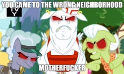 Size: 834x500 | Tagged: safe, edit, edited screencap, imported from derpibooru, screencap, bulk biceps, clarity cut, granny smith, pony, all bottled up, anger magic, angry, caption, floppy ears, jeweler pony, magic, meme, red eyes, tv-y, vulgar, wrong neighborhood