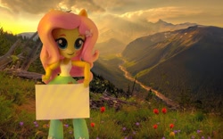 Size: 1080x675 | Tagged: safe, artist:whatthehell!?, edit, imported from derpibooru, fluttershy, equestria girls, doll, equestria girls minis, eqventures of the minis, irl, photo, template, toy