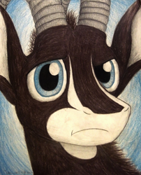 Size: 1072x1328 | Tagged: safe, artist:thefriendlyelephant, imported from derpibooru, oc, oc only, oc:sabe, antelope, giant sable antelope, animal in mlp form, bust, close-up, confused, horns, non-pony oc, portrait, solo, traditional art