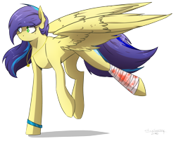 Size: 2402x1930 | Tagged: safe, artist:lrusu, imported from derpibooru, oc, oc only, oc:lilly hyde, pegasus, pony, bandage, blood, female, mare, simple background, solo, transparent background