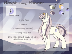 Size: 2000x1500 | Tagged: safe, artist:liefsong, imported from derpibooru, oc, oc only, oc:midnight moonshine, crystal pony, pony, reference sheet, solo