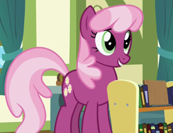 Size: 606x468 | Tagged: safe, imported from derpibooru, screencap, cheerilee, pony, a flurry of emotions, book, bookshelf, female, solo