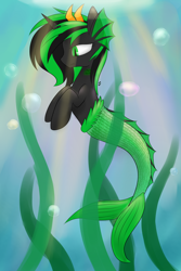 Size: 1200x1800 | Tagged: safe, artist:stormer, imported from derpibooru, oc, oc only, oc:starstorm, merpony, pony, unicorn, female, horns, mare, solo, underwater