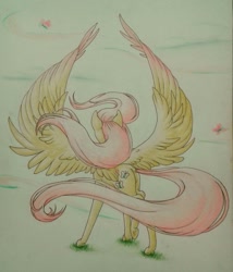 Size: 1362x1591 | Tagged: safe, artist:cloud-dash, imported from derpibooru, fluttershy, pegasus, pony, colored wings, female, looking away, mare, multicolored wings, raised leg, rear view, solo, spread wings, traditional art, windswept hair, windswept mane, wings