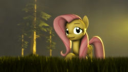 Size: 1920x1080 | Tagged: safe, artist:jaygaming1, imported from derpibooru, fluttershy, pony, 3d, grass, lighting, looking at you, poster, raised hoof, solo, source filmmaker, sunset, tree