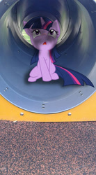 Size: 528x960 | Tagged: safe, artist:kysss90, artist:tokkazutara1164, imported from derpibooru, twilight sparkle, pony, curious, irl, looking up, photo, ponies in real life, shadow, solo, tunnel