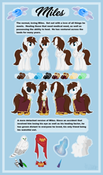 Size: 3356x5707 | Tagged: safe, artist:kellythedrawinguni, imported from derpibooru, oc, oc only, oc:miles, alicorn, owl, pony, absurd resolution, alicorn oc, blanket, blue eyes, broach, cape, chest fluff, clothes, crest, easter egg, eyepatch, green eyes, height difference, impossibly large chest fluff, magic, magic aura, male, multiple variants, pet, reference sheet, size chart, size comparison, solo