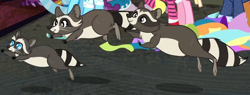 Size: 744x283 | Tagged: safe, imported from derpibooru, screencap, bleeding heart, blue bobbin, smoky, smoky jr., softpad, starke kragen, pony, raccoon, the saddle row review, cropped, fabric, leaping, solo focus, trio