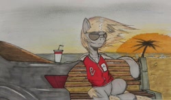 Size: 1714x1009 | Tagged: safe, artist:incrediblepanzer, imported from derpibooru, derpy hooves, pegasus, pony, beach, bench, car, clothes, female, jacket, mare, ocean, palm tree, sitting, solo, sun, sunglasses, traditional art, tree, wind, windswept mane