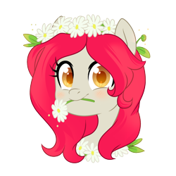 Size: 1250x1250 | Tagged: artist needed, safe, imported from derpibooru, oc, oc only, oc:flaming passion, earth pony, pony, bust, cute, floral head wreath, flower, flower in mouth, mouth hold, portrait, simple background, solo, transparent background