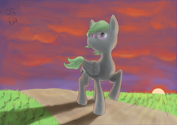 Size: 4960x3508 | Tagged: safe, artist:sgrayda, imported from derpibooru, oc, oc only, pegasus, pony, absurd resolution, cloud, glasses, grass, raised hoof, solo, sun, sunset