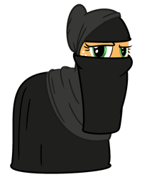 Size: 1234x1492 | Tagged: artist needed, safe, imported from derpibooru, applejack, earth pony, pony, clothes, female, islam, niqab, op is a duck, op is trying to start shit, simple background, solo, transparent background