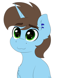 Size: 1500x2000 | Tagged: safe, artist:spirit-dude, imported from derpibooru, oc, oc only, pony, unicorn, :3, chest fluff, commission, green eyes, male, simple background, smiling, solo, stallion, transparent background