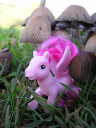 Size: 1280x1707 | Tagged: safe, artist:travelling-my-little-pony, imported from derpibooru, heart throb, fungus, g1, grass, irl, mushroom, outdoors, photo, photography, toadstool, toy