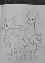 Size: 1869x2576 | Tagged: safe, artist:lxxjunebugxxl, imported from derpibooru, oc, oc only, oc:jade, oc:milkweed, oc:nightshade, dracony, hybrid, interspecies offspring, magical gay spawn, monochrome, offspring, parent:fluttershy, parent:spike, parent:thorax, parents:flutterspike, parents:thoraxshy, parents:thoraxspike