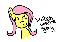 Size: 341x243 | Tagged: safe, imported from derpibooru, fluttershy, pony, female, inside joke, lesbian, solo