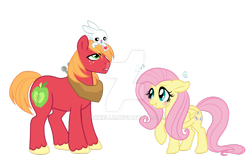 Size: 1024x663 | Tagged: safe, artist:arxielle, imported from derpibooru, angel bunny, big macintosh, fluttershy, earth pony, pony, blushing, fluttermac, love note, male, shipping, stallion, straight, sweat, watermark