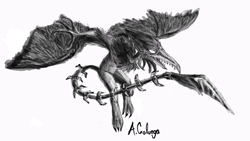 Size: 1360x768 | Tagged: safe, artist:andrea colunga, imported from derpibooru, griffon, griffonized, metroid, monochrome, ridley, solo, species swap