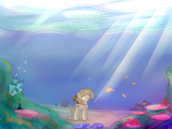 Size: 1024x768 | Tagged: safe, artist:lalieri, imported from derpibooru, oc, oc only, oc:stone, earth pony, fish, pony, coral, coral reef, female, ocean, pun, underwater