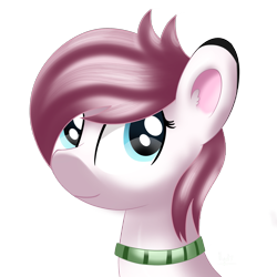 Size: 2000x2000 | Tagged: safe, artist:ilynalta, imported from derpibooru, oc, oc only, oc:sleepy panda, pony, bust, female, high res, mare, portrait, simple background, solo, transparent background